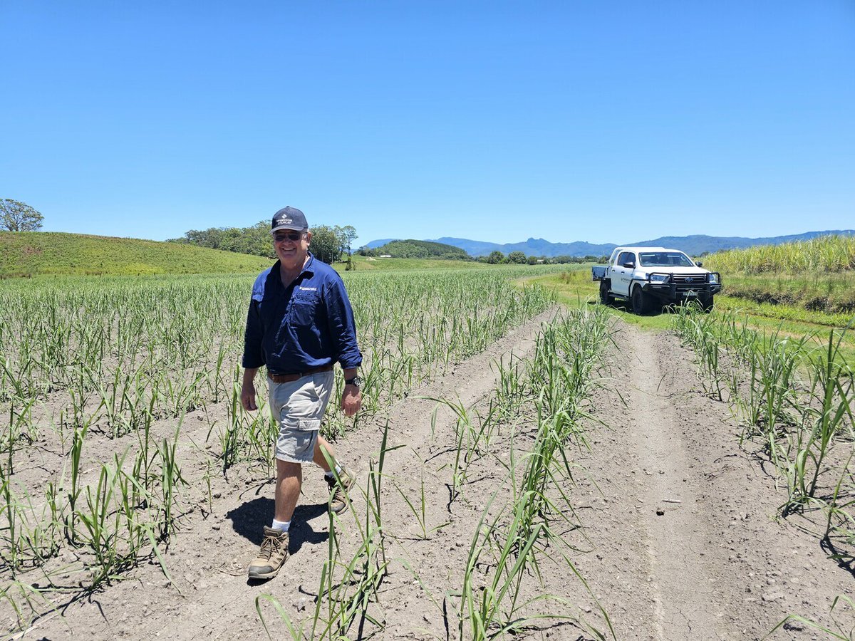 McGregor Gourlay tweet media