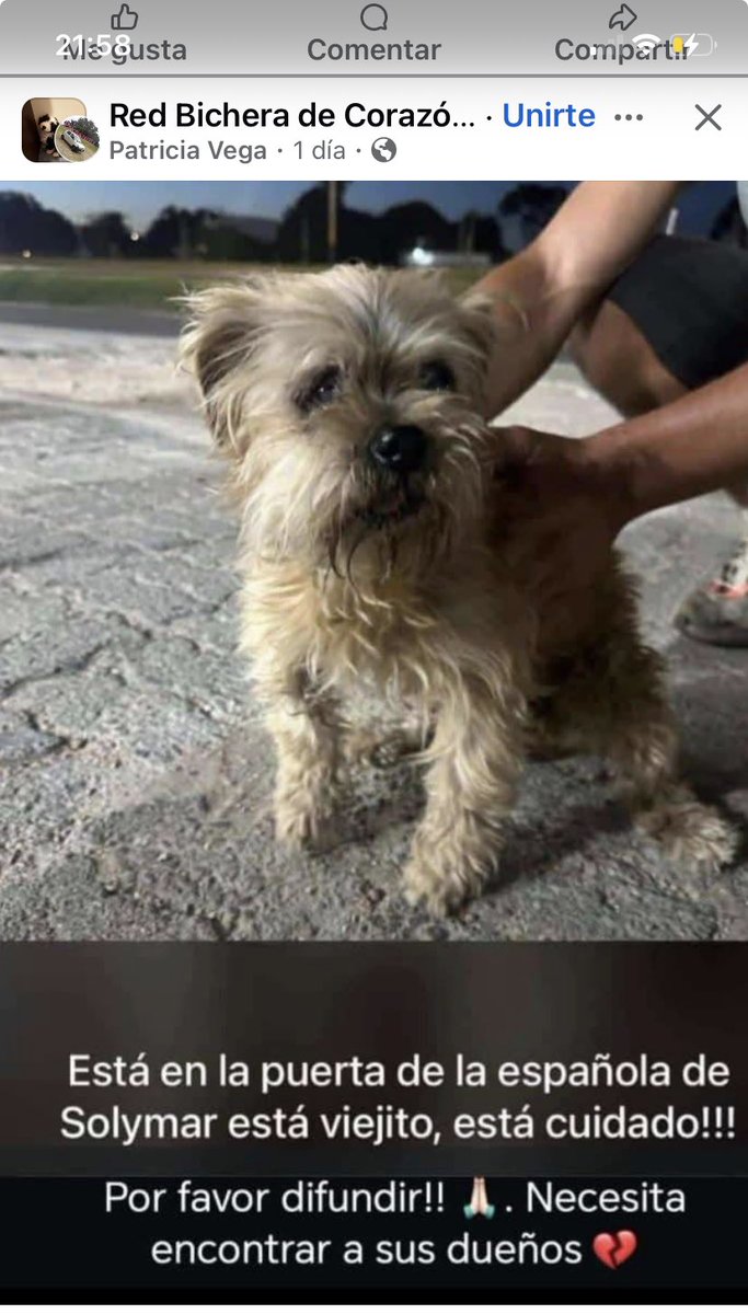 Adriana (@adriana43587622) on Twitter photo 