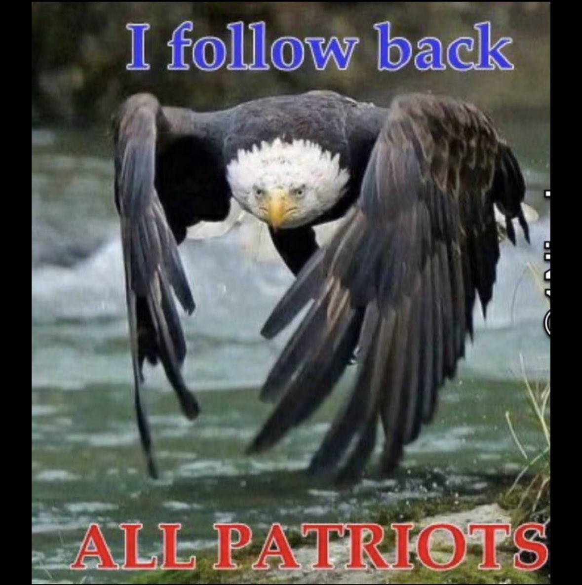 🇺🇸Following back all like accounts🇺🇸