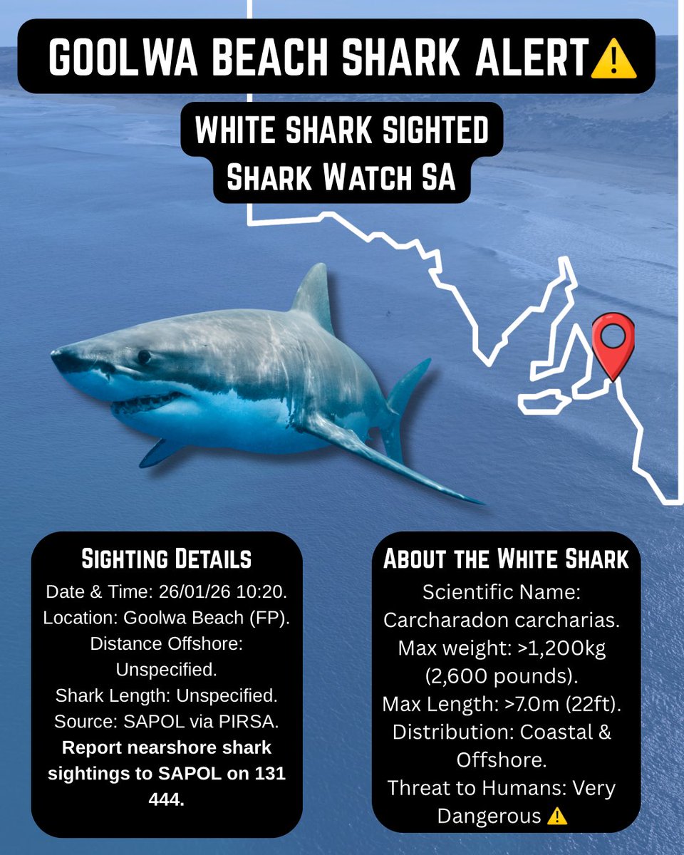 sharkalertsa's tweet photo. β οΈ26/01/26 10:20, SHARK ALERT AT #GoolwaBeach #Goolwa #MiddletonBeach #Middleton #PortElliot #FleurieuPeninsula #SouthAustralia #sharkalertsa https://t.co/lDTfL7kEMr