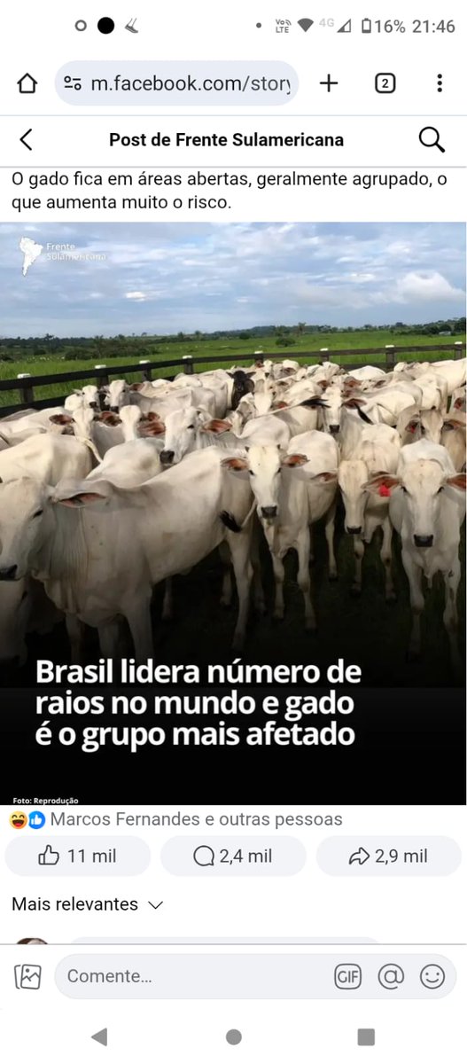 Visual Dicas tweet media