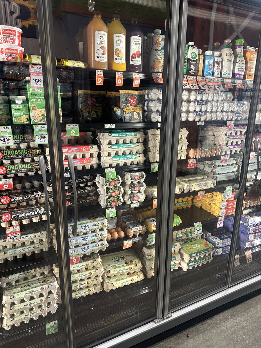 Carnivore Aurelius ©🥩 ☀️🦙 tweet media