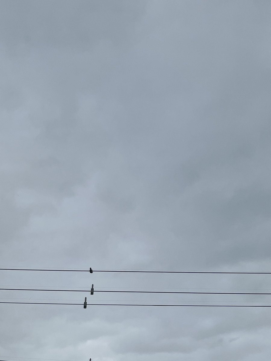 おはようございます☀️
滋賀県南部の天気は曇り☁️

滋賀というと雪国と思ってる人も多いかと思いますが、南の方はほとんど降らないんですよ！

#企業公式が地元の天気を言い合う 
#企業公式相互フォロー 
#企業公式さんと繋がりたい