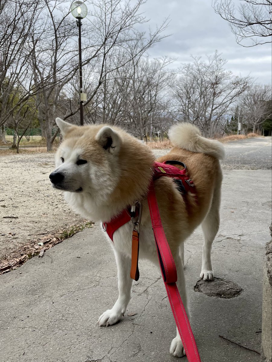 ْ (@65907_30_4) / Posts / X