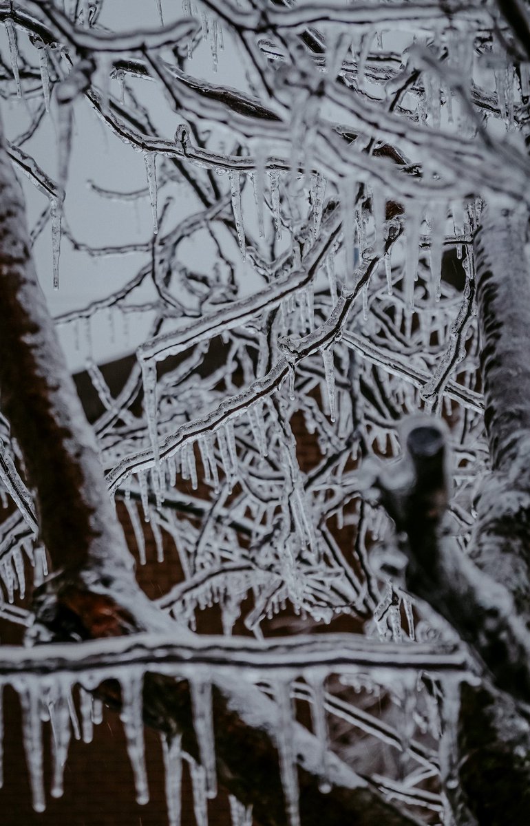 Edgehill. #nashville #tspotter <a href="/NashSevereWx/">NashSevereWx</a>