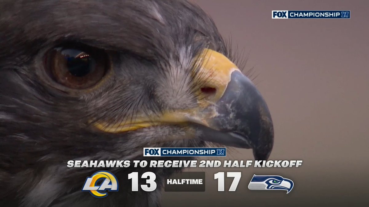 FOX Sports: NFL (@nflonfox) on Twitter photo 