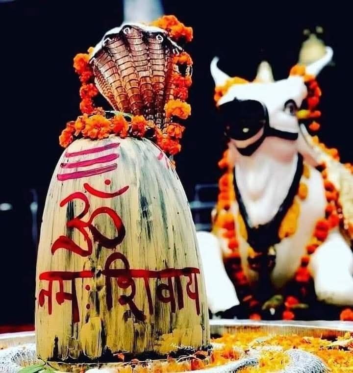 वरुण कुमार यादव (ब्रजेश) tweet media