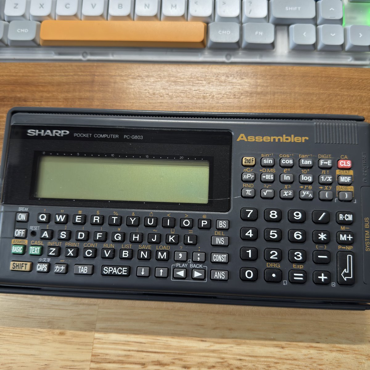 みんてく tweet media