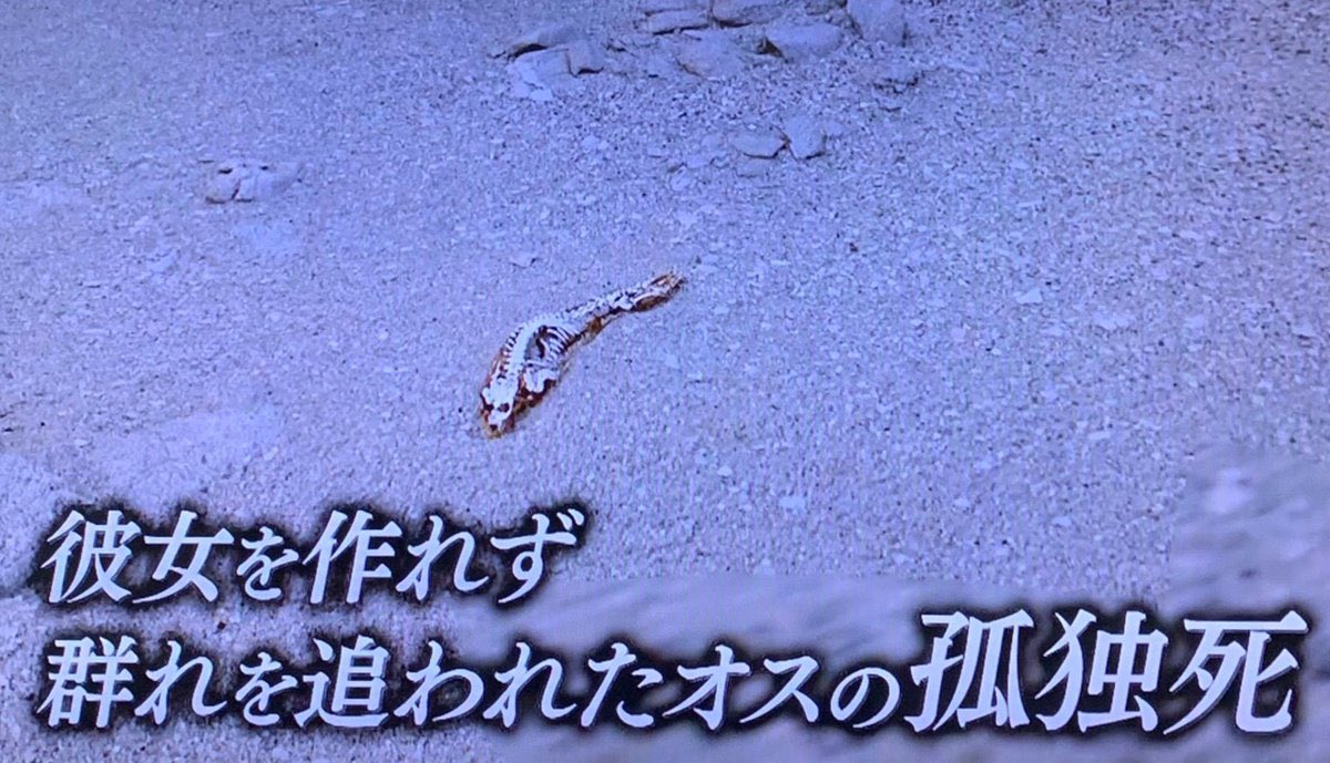 一人じゃないって 素敵なことね