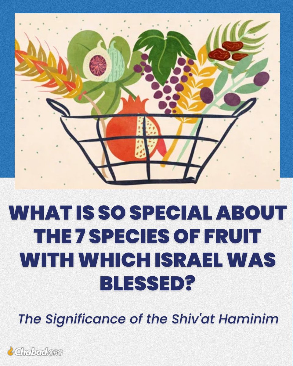 Israel produces many other fruits (Jaffa oranges, anyone?). What is so significant about these seven species? Chabad.org/3576890