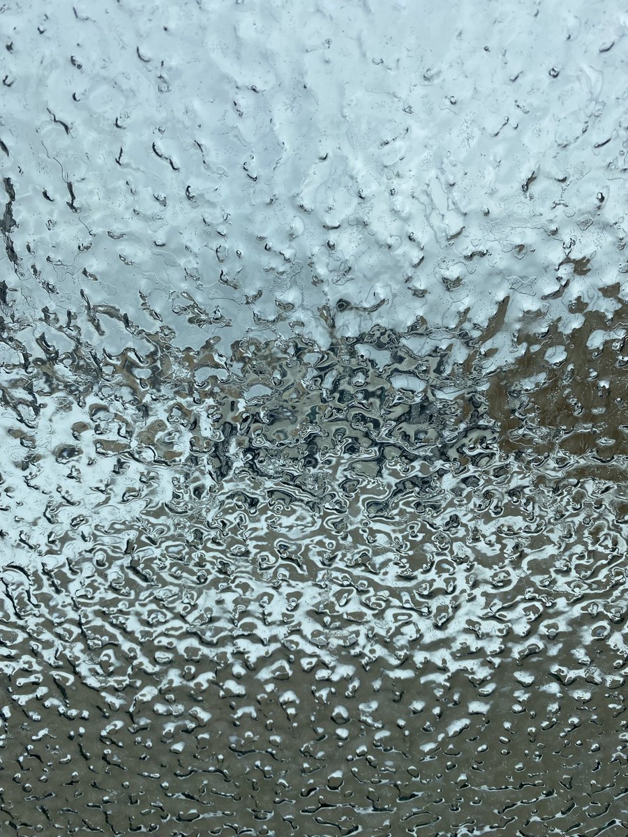 Leslee Lacey tweet media