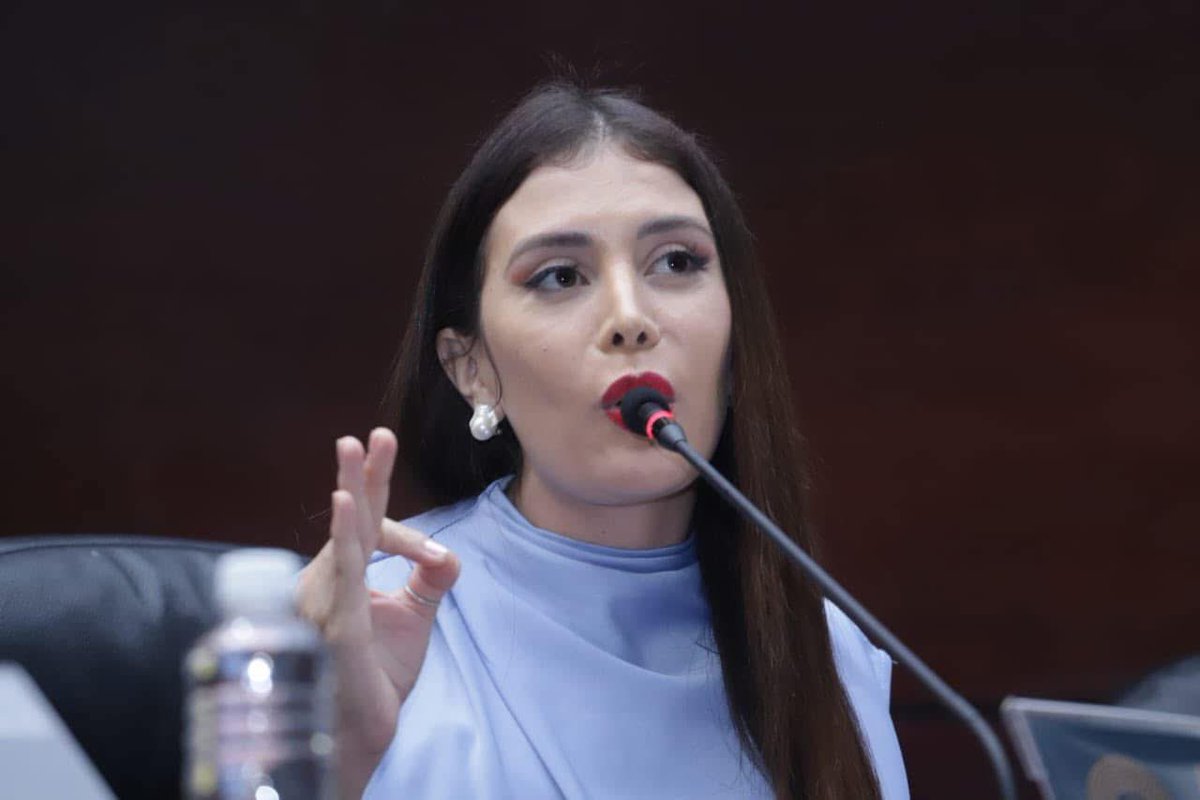 IroshkaElvir's tweet image. Proyecto de Ley presentado | 25 de enero 2026: 

Eliminar la experiencia laboral como requisito obligatorio para la contratación de jóvenes entre los 18 y 25 años. 

Crear incentivos fiscales para las empresas que cumplan con la contratación de los jovenes sin experiencia