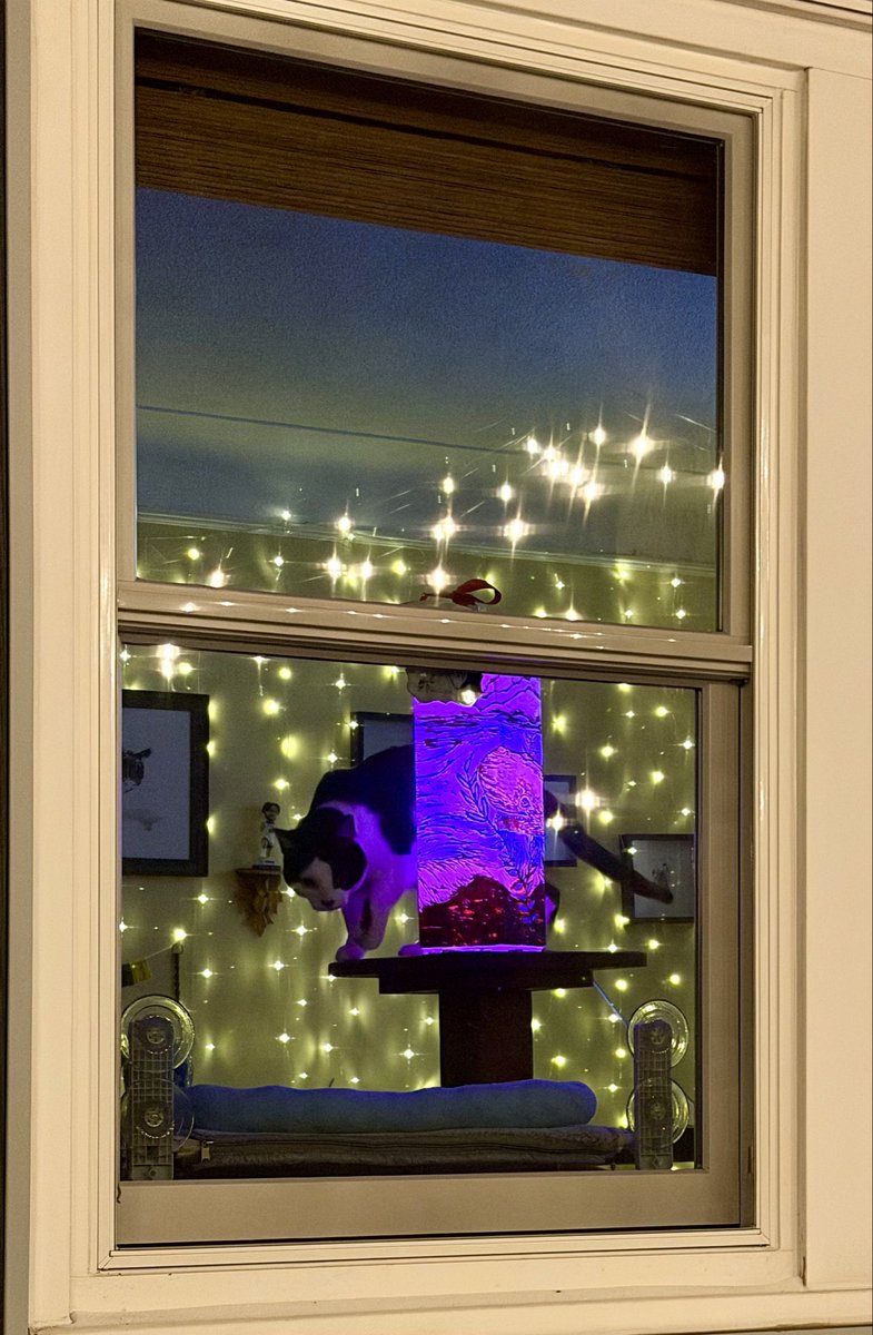 Light up Mpls purple tonight