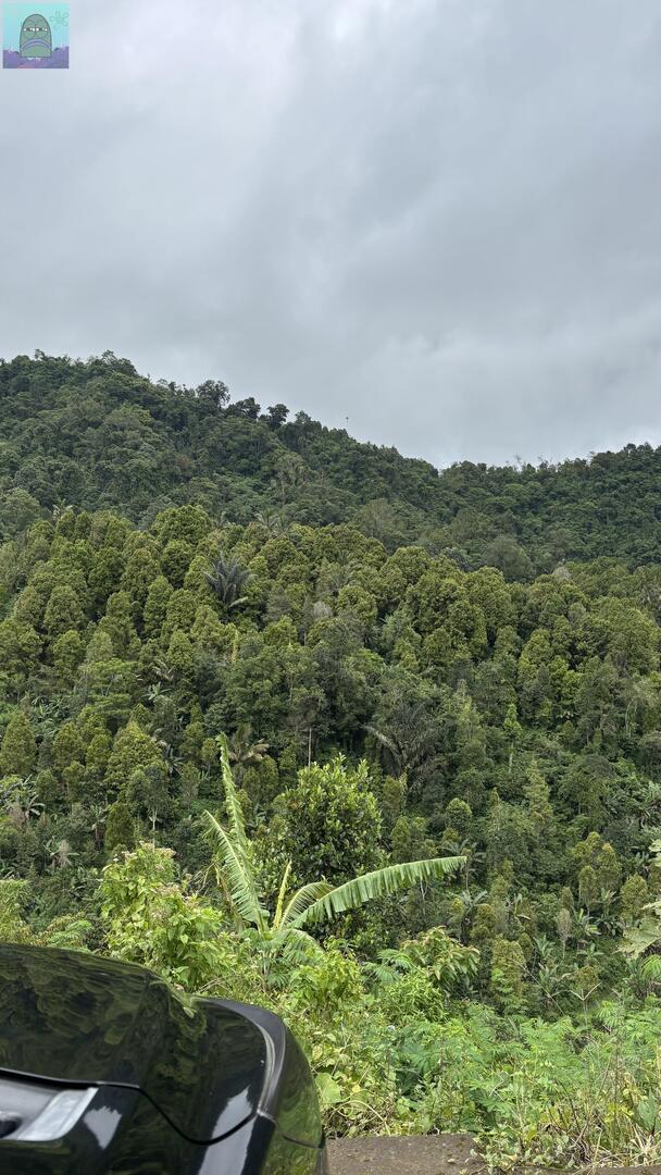 Tanyarl 💚 tweet media