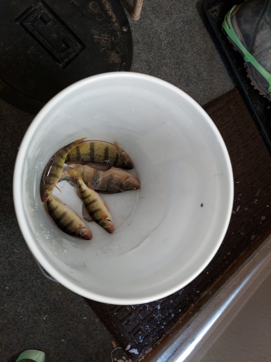 joshgardner78's tweet photo. #icefishing Bitter Lake SD https://t.co/YUL9tMKIal