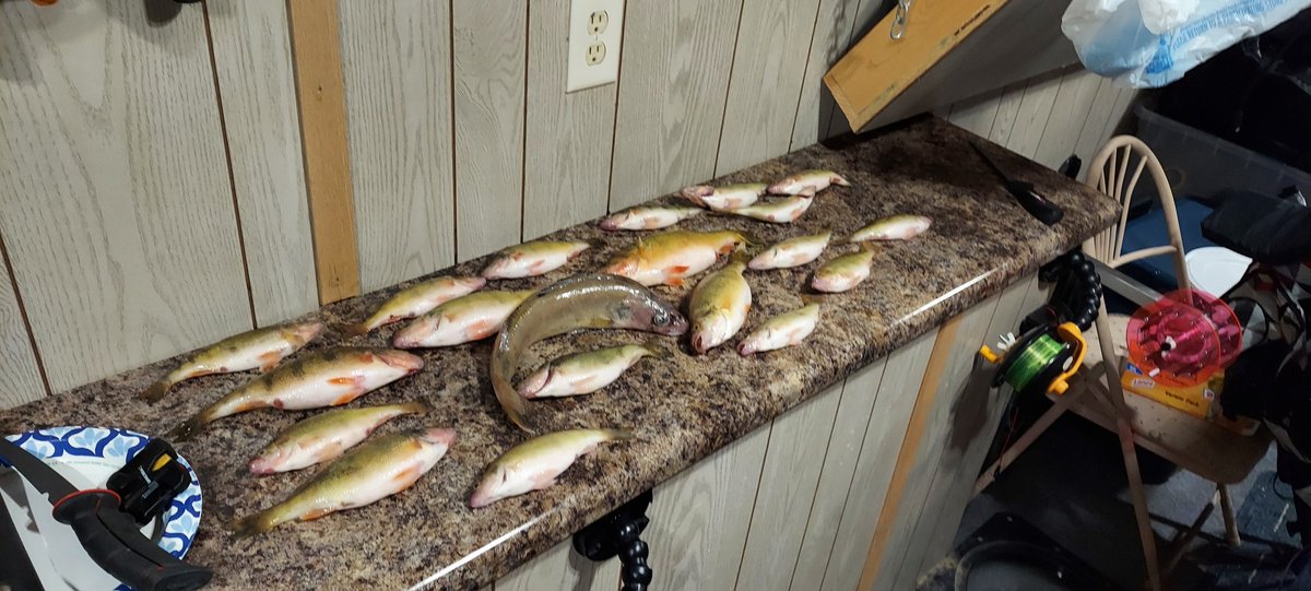 joshgardner78's tweet photo. #icefishing Bitter Lake SD https://t.co/YUL9tMKIal