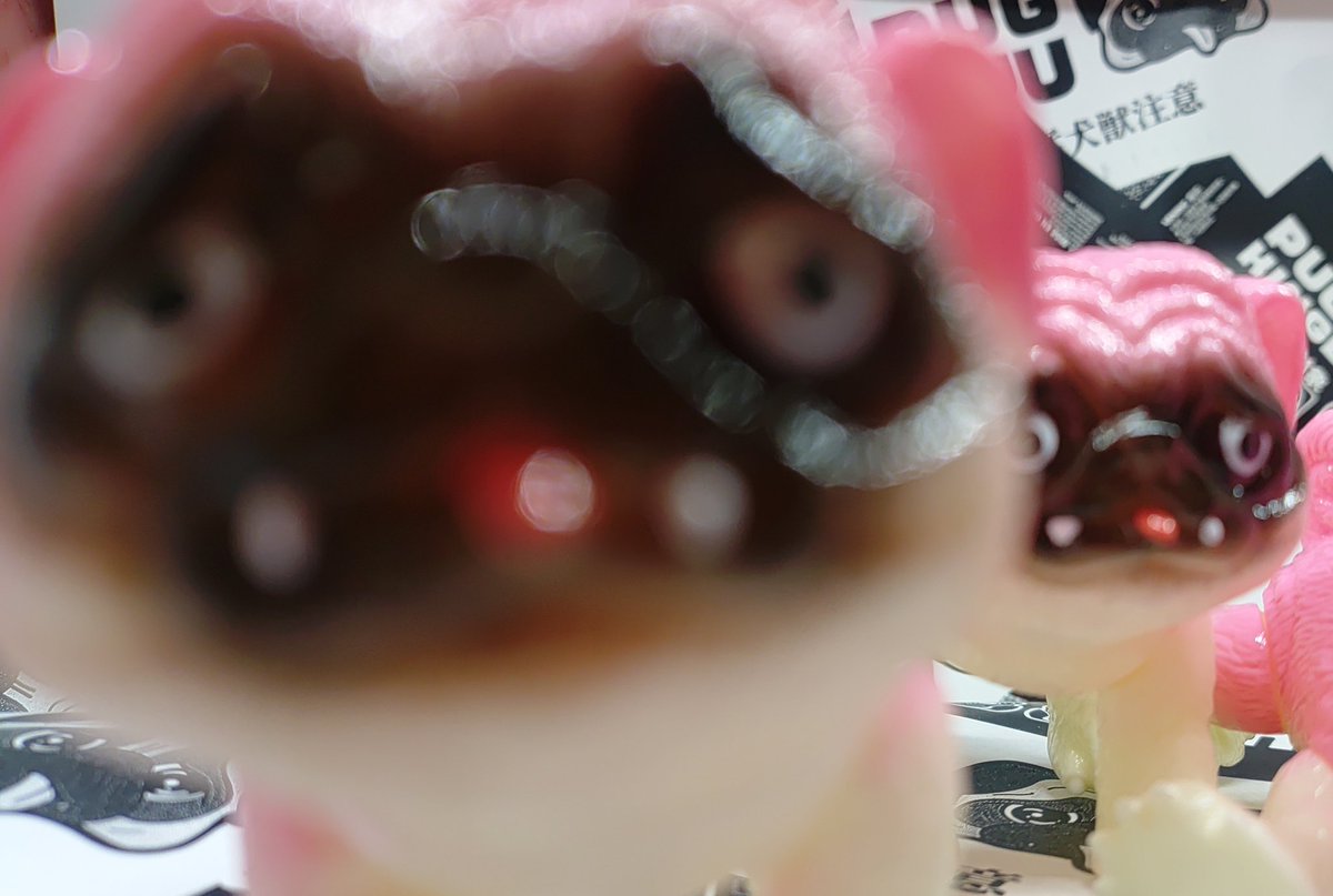 パグ獣🐶作った人→あきぱぐ🐶 (@pugchaa) / Posts / X