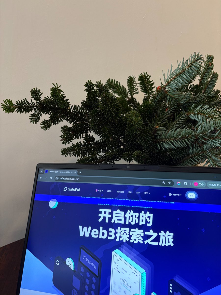 SafePal 中文(@SafePalCN) / Posts / X