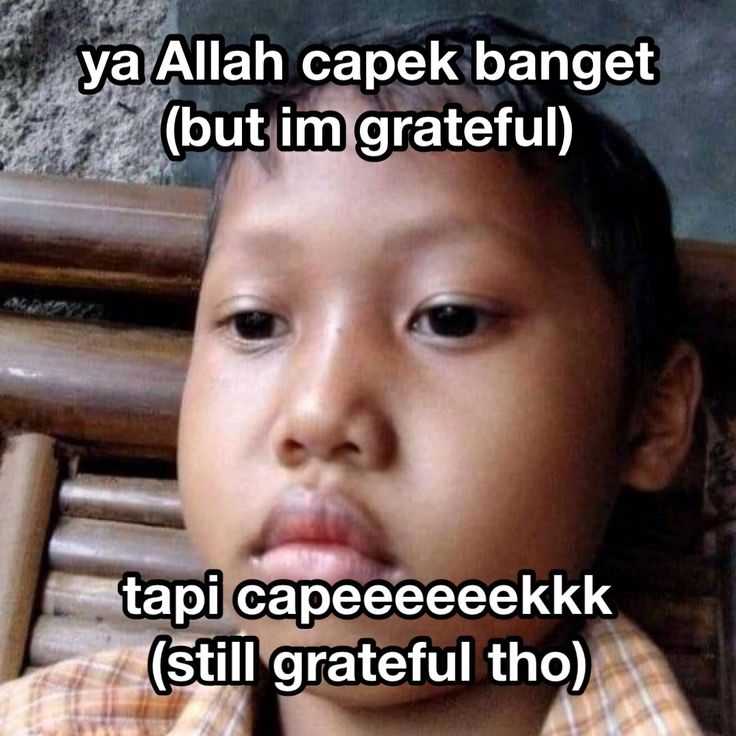 el (@halupulisi) on Twitter photo 