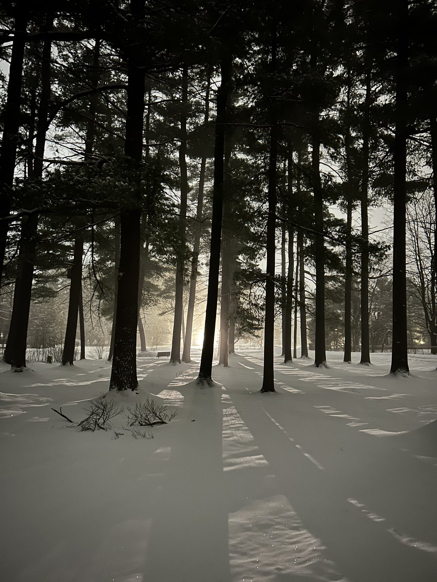 Andrew Weatherhead tweet media