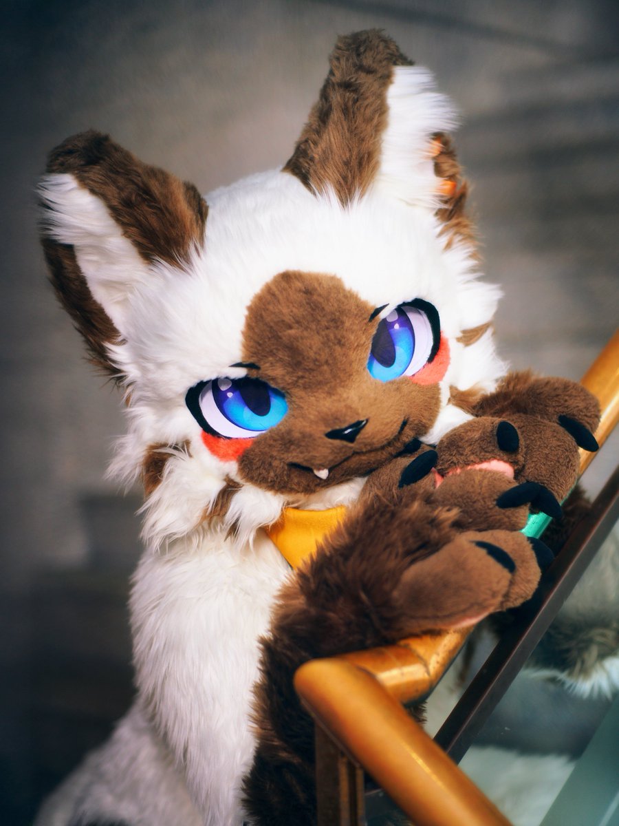 그니 GUNI tweet media