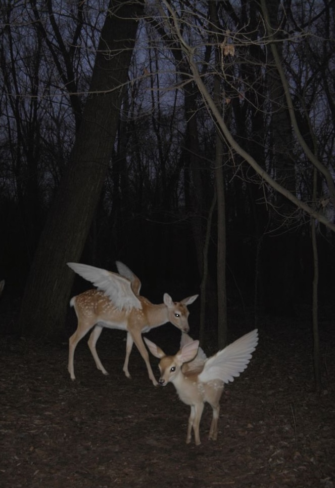 I'm LIVE in a few hours on <a href="/KXLU889/">KXLU 88.9 FM</a> 88.9 FM in Los Angeles playing 2 hours of experimental dance music.

Tune in every Sunday at 10 pm!