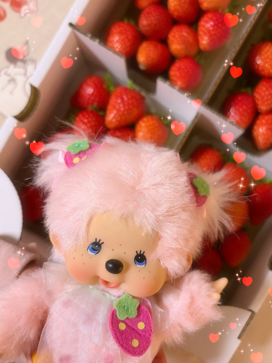 モンチッチくん❤️モンチッチちゃん お誕生日おめでとう