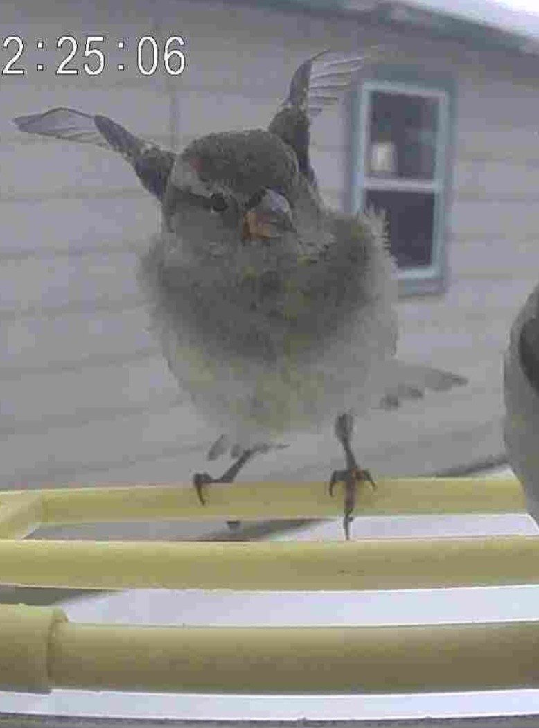 Can you tell I live near a nuke power plant?