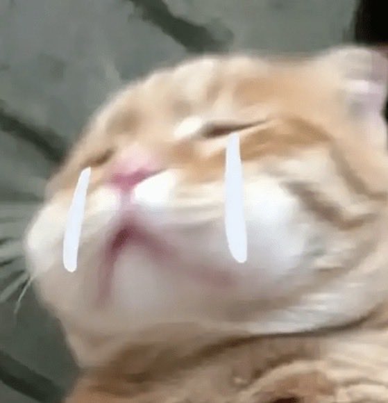 kvantee's tweet image. 