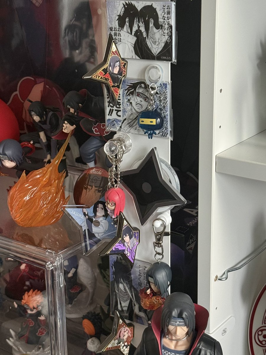 new 닌자 마그넷존🥷🏻