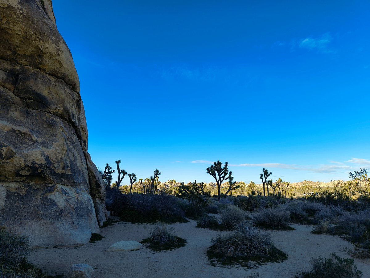 Spent my birthday weekend in Joshua Tree. Shout out to everyone who showed up, it was perfect.