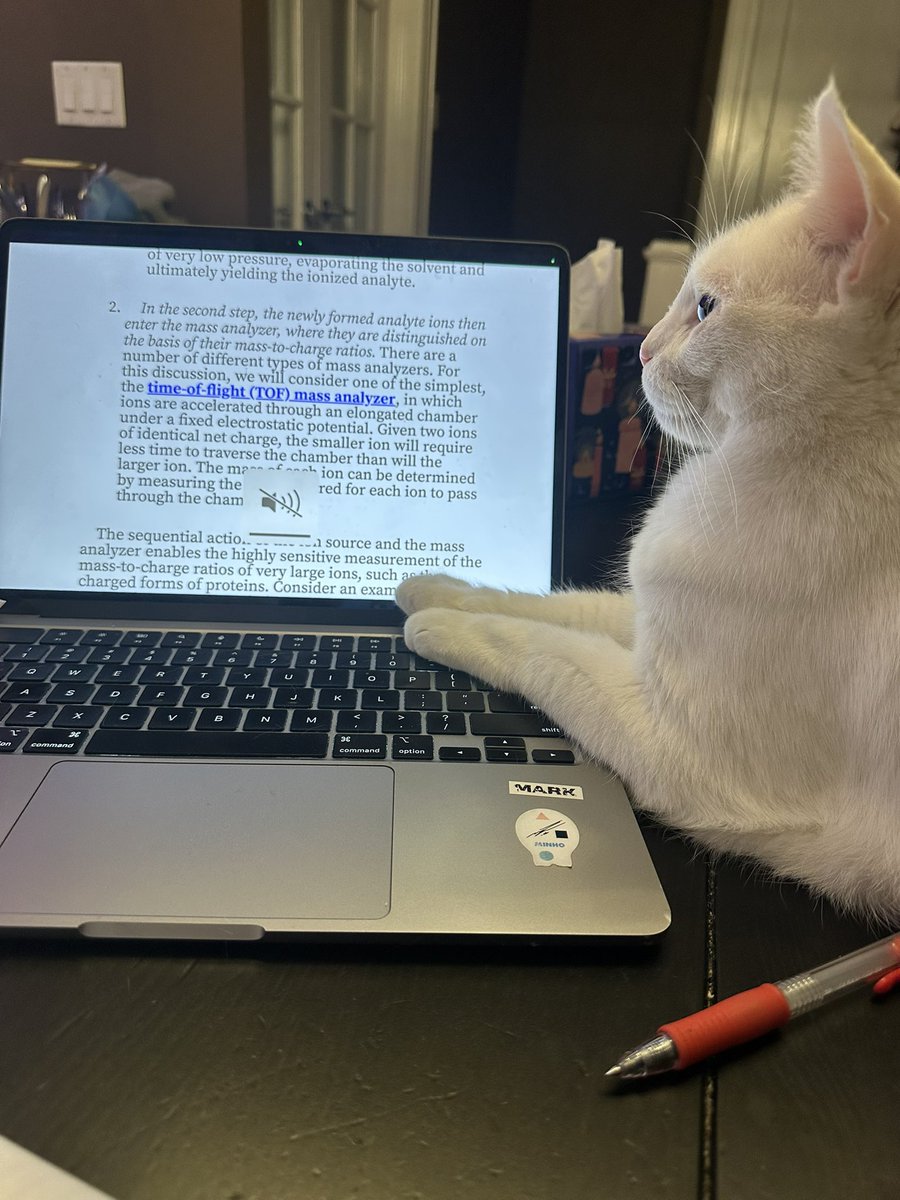 thwlsdl_'s tweet photo. she wants to study with me https://t.co/IXoMXHySiF