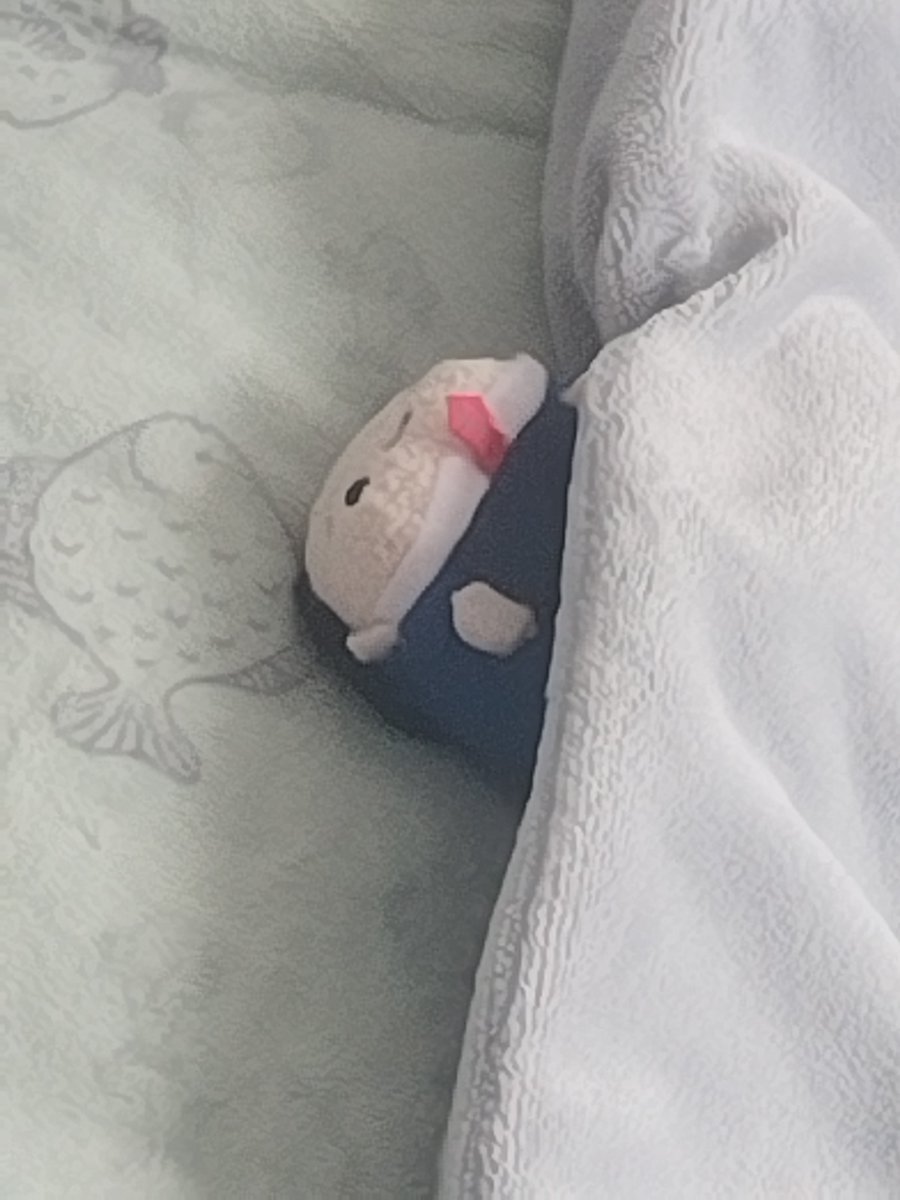 ☆ (@star_00o) on Twitter photo 