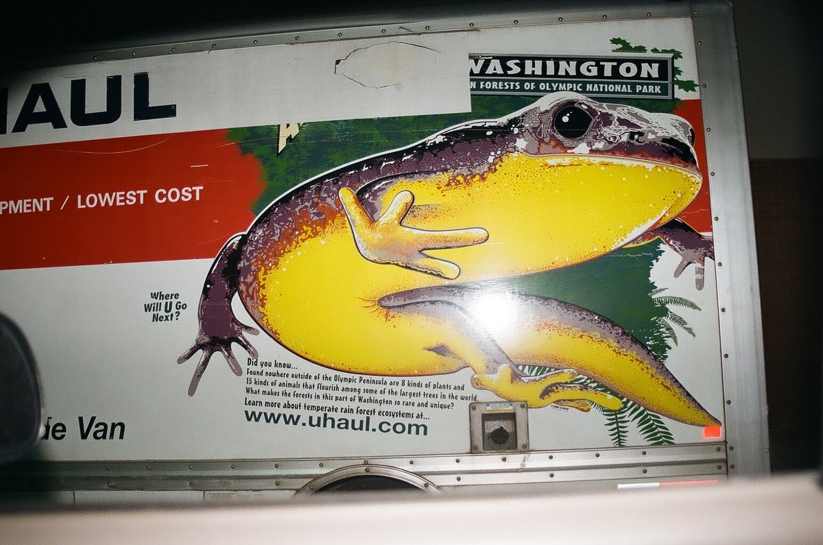 bridespanker's tweet image. The touching beauty of 90's-00's  U-haul graphics