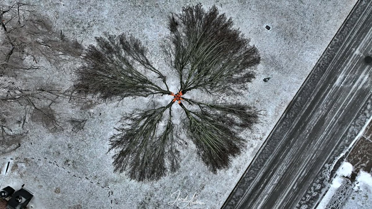 Katy Morgan tweet media