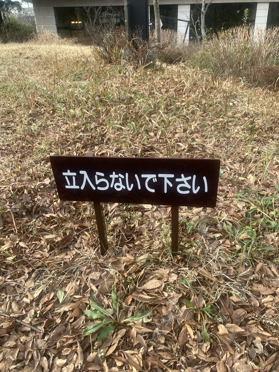 立ち、がなくても意味が通じるのに何故、立ち、が要るのか。座り入りなら良いのか。立入り禁止を入り禁止にしたら変だもんなぁ、などとしばしらく立ち止まって考えてみた国立競技場前。  出張だらけの立て込んだ時間に少し無駄時間を。