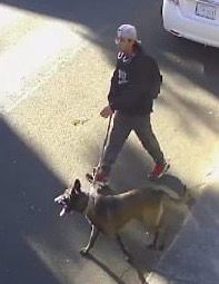 g_quadri's tweet image. Este es el perro Malinois que mató hoy en la mañana a mi querido Vito, con su dueño. Es un peligro. Por favor ayúdenos a localizarlo. Es la colonia Romero de Terreros, Coyoacán, esquina entre Cerro del Tesoro y Cerro Dios del Hacha...