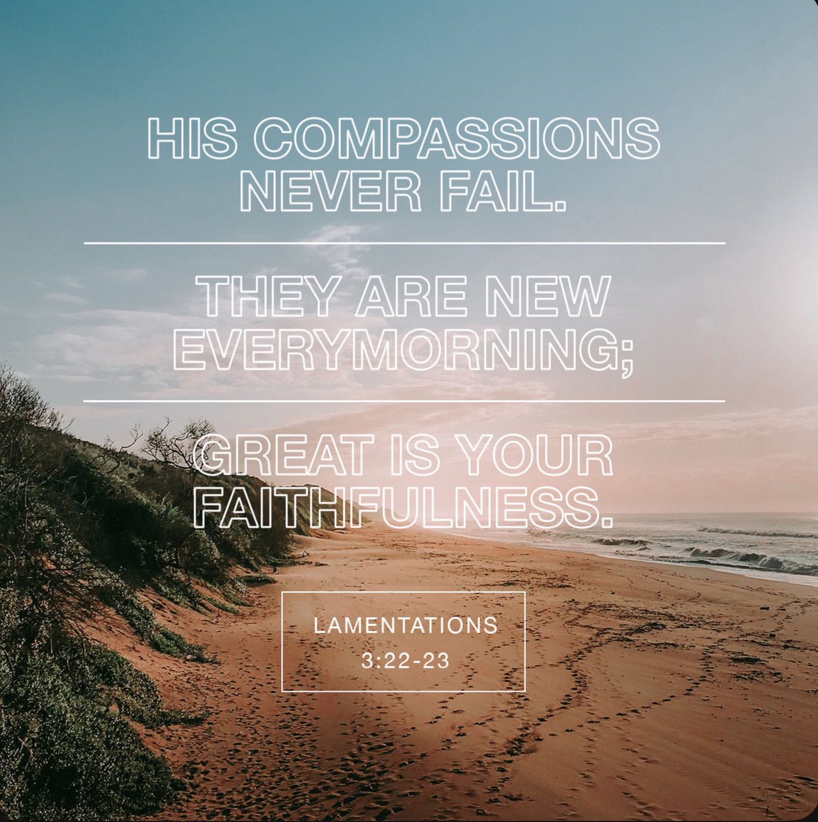 revrobrodriguez tweet media