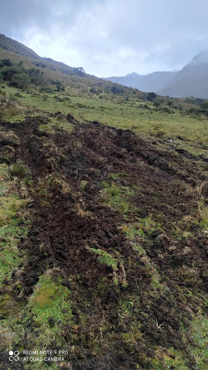 Reconocen a estas personas? pues llegaron con sus vehículos hasta el sector de Angas en el parque Nacional El Cajas y dañaron la vegetación del lugar causando un impacto en la vegetación.
#DañoAmbiental #Ecosistema