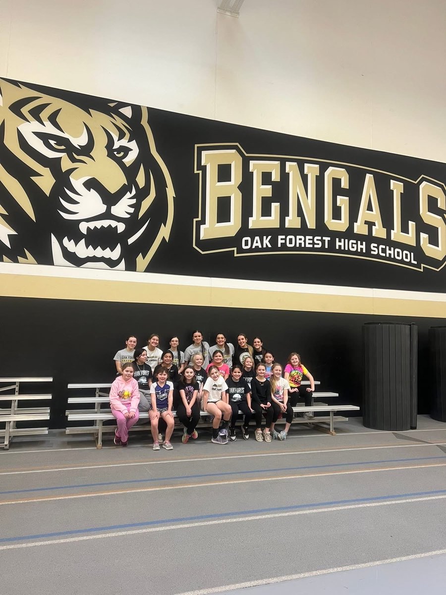 Oak Forest Softball tweet media