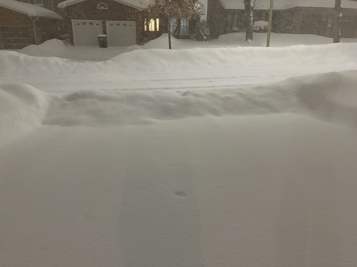 Pokémon regional in Mexico was apparently the right meta call. After Round 1 of shovelling 🥺