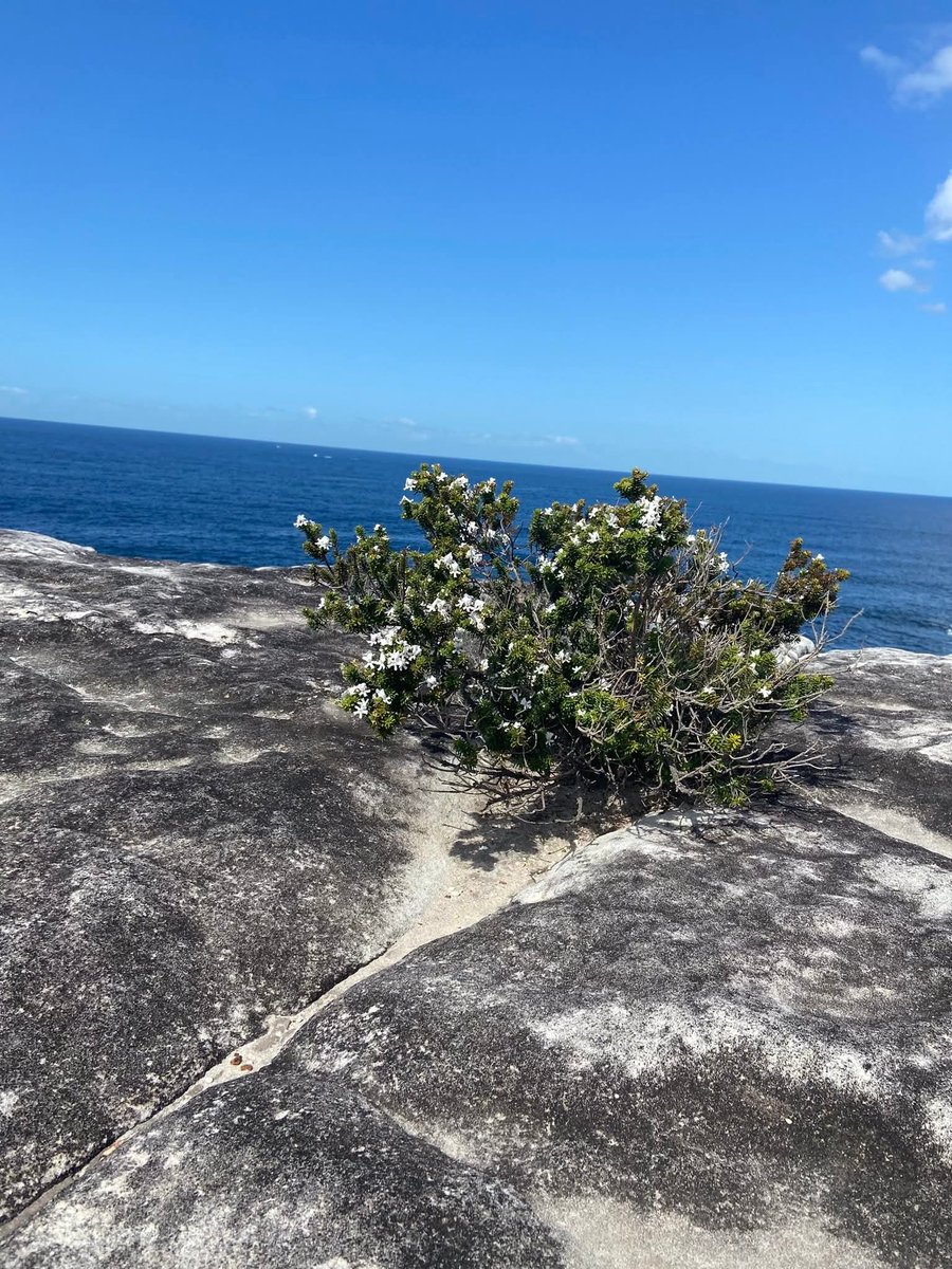 ਤੁਰਦੇ - ਤੁਰਦੇ ਪੈਰ ਥੱਕਣਗੇ  ਤੁਰਦਾ ਰਹੀਂ 
ਪੈਰ ਥੱਕਣਗੇ, ਚਿੱਤ ਅੱਕਣਗੇ ਤੁਰਦਾ ਰਹੀਂ 
ਦੀਪ ਸੰਧੂ 😇🫶
#Gratitude 🤲🤲