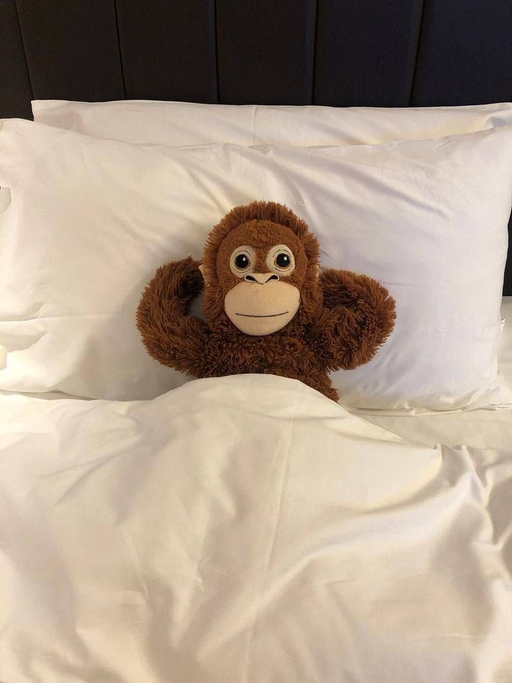 1월 벌써 한주 남았네
별 생각도 없고 그냥 죽여주쇼. 하는 마음임