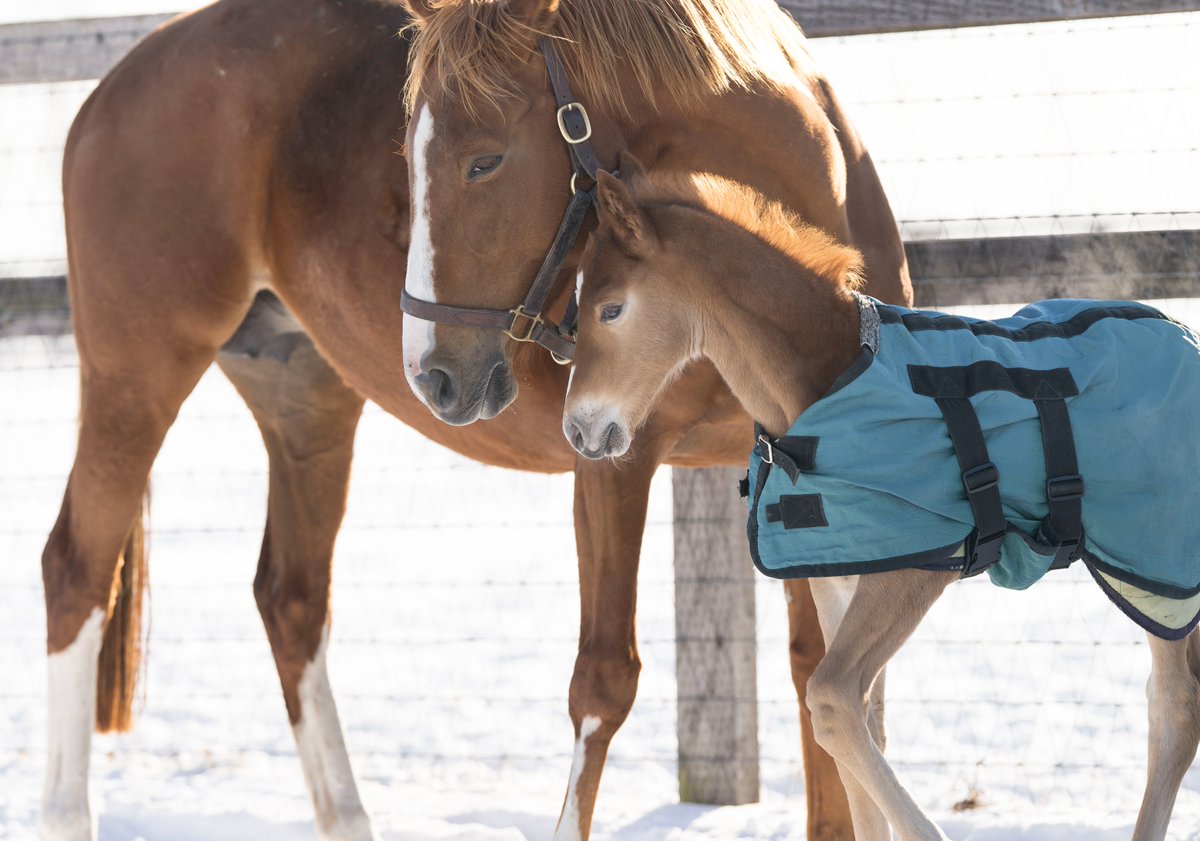 et-coquine (@et_coquine0725) / Posts / X