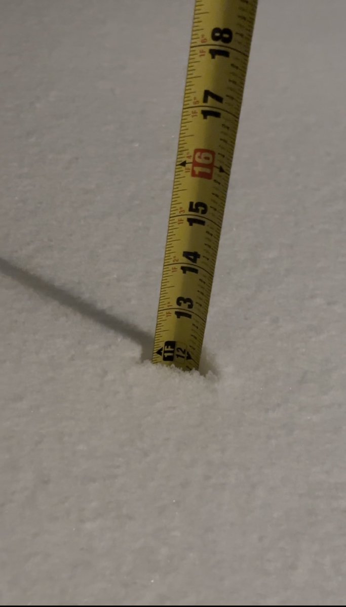Solomon_WX's tweet photo. 12” in Scituate, MA as of 7:56 PM https://t.co/jlLJI93vRh