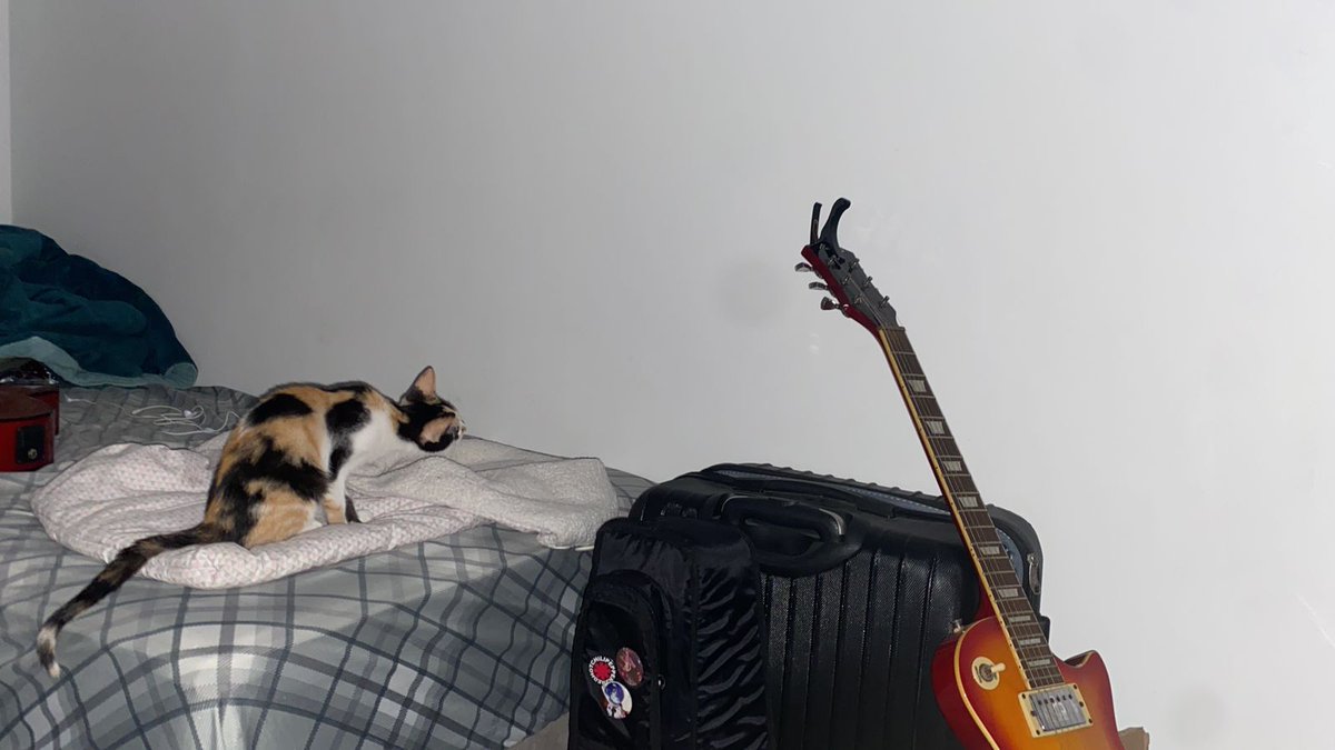 besourinhas /‘ tweet media