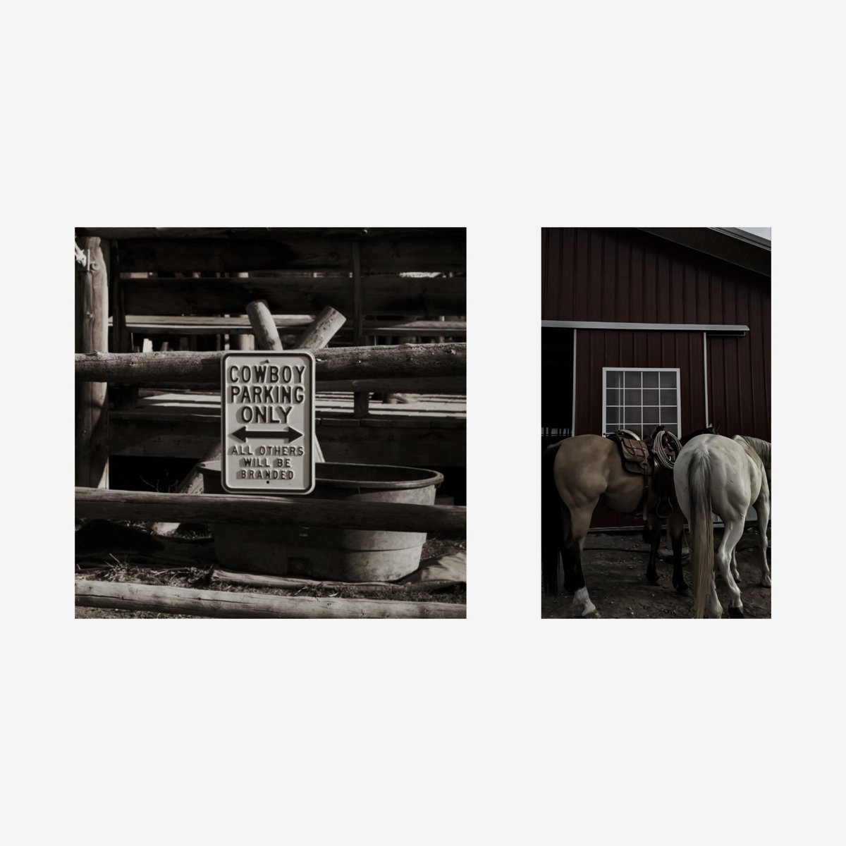 不是 𝐓𝐡𝐞 𝐒𝐢𝐧𝐧𝐞𝐫 .. dominate the night. tweet media