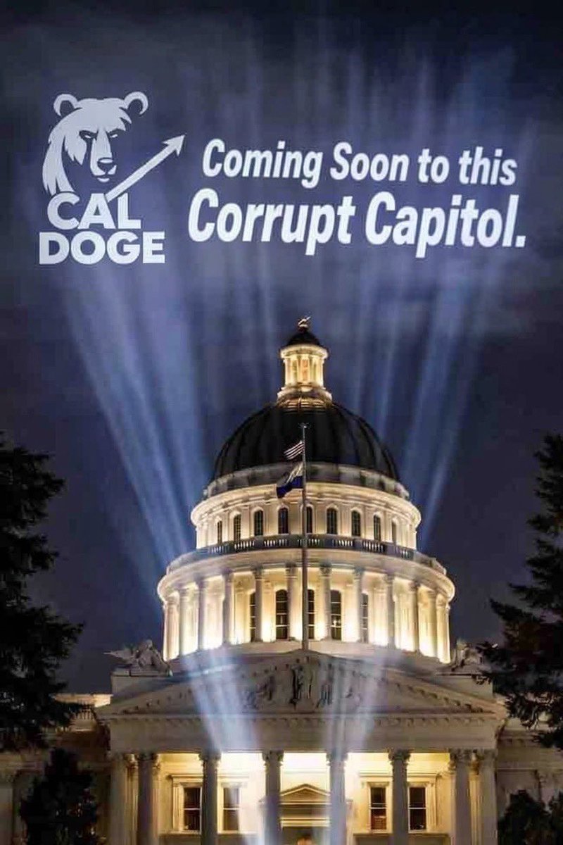 Steve Hilton tweet media