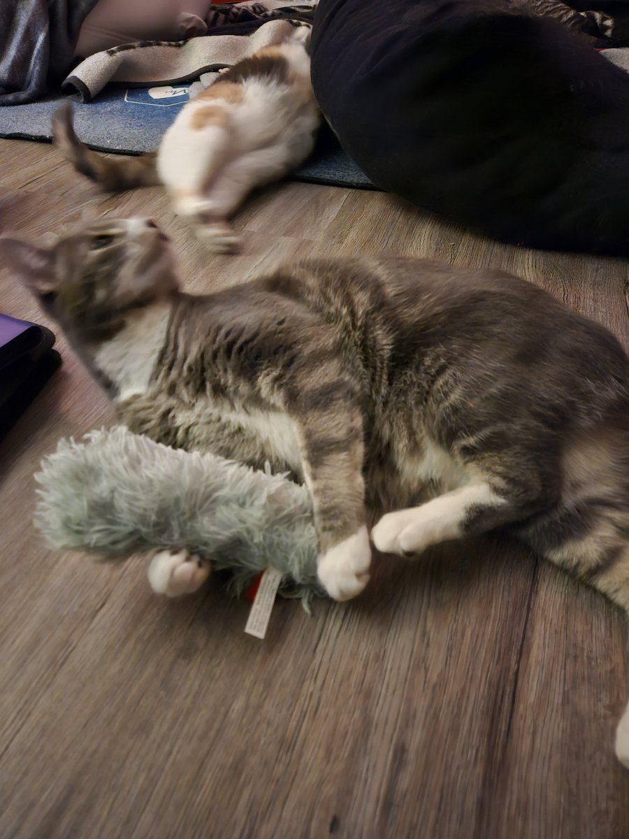 Find me at @danddaine.bsky.social 💀 🐔 😈 tweet media