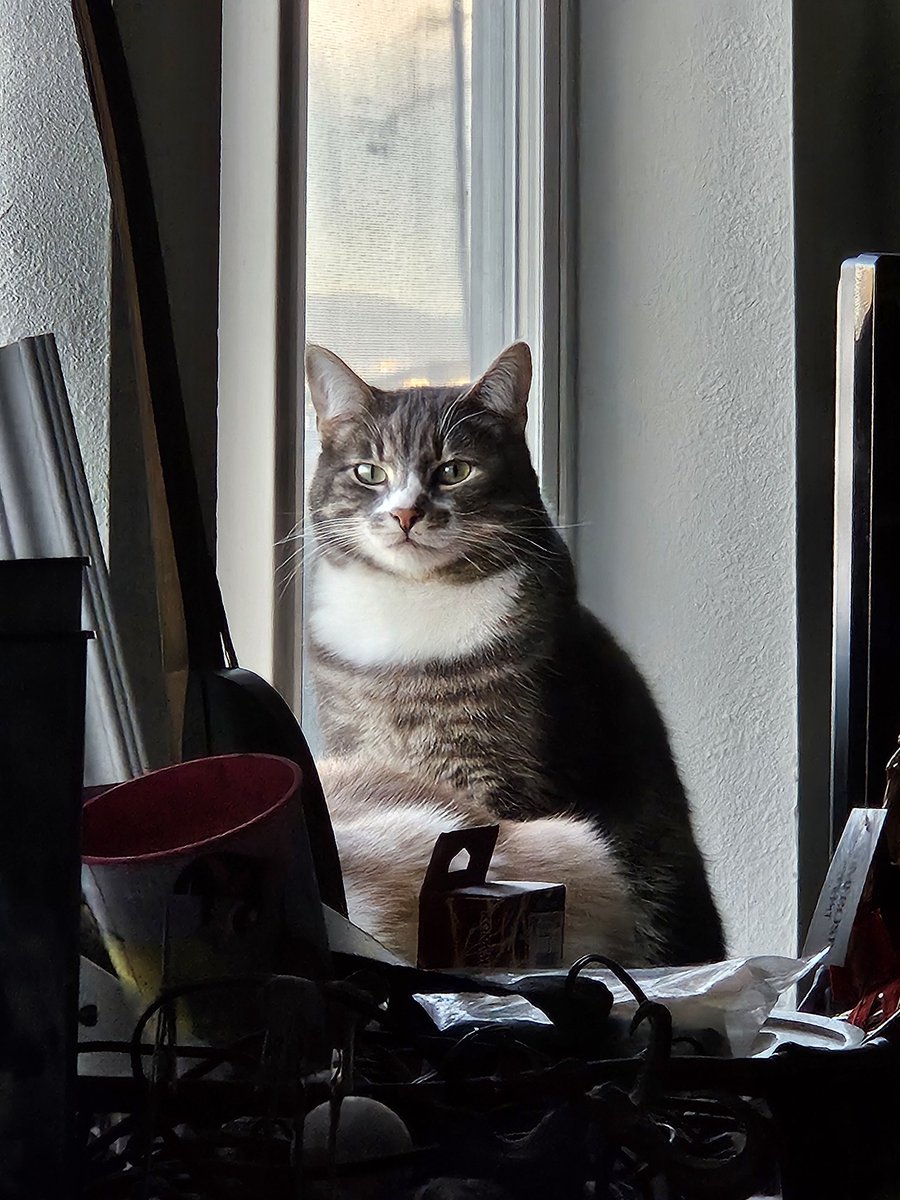 Find me at @danddaine.bsky.social 💀 🐔 😈 tweet media